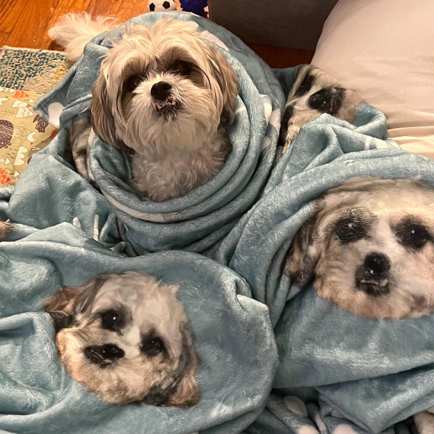 Personalized Lovely Pet Blanket for Comfort & Unique | BKPet112