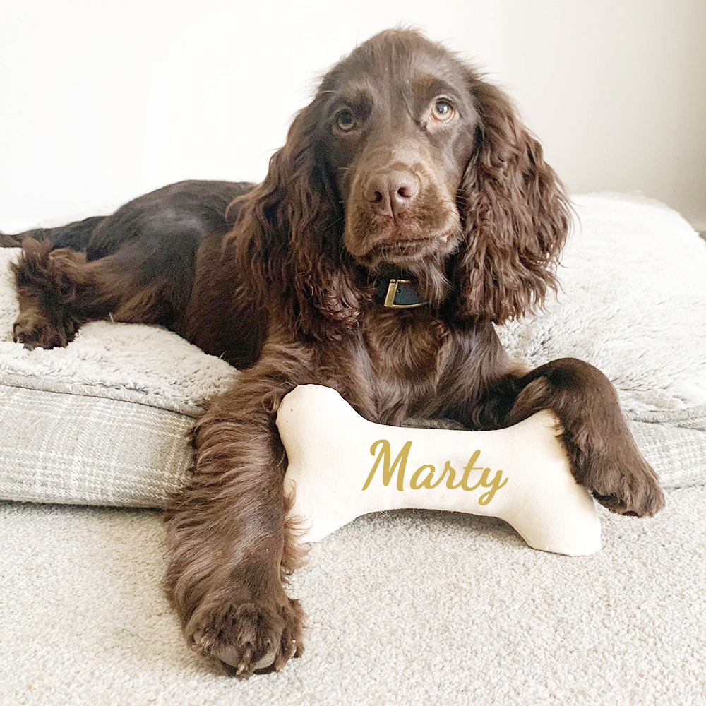 Personalized Puppy Gift Soft Bone Pillow Toy | BKPet129