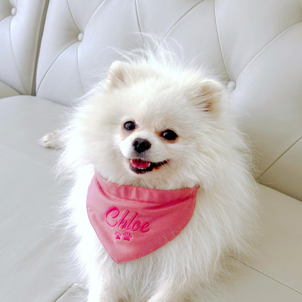 Personalized Embroidered Adjustable Dog Bandana | BKPet166