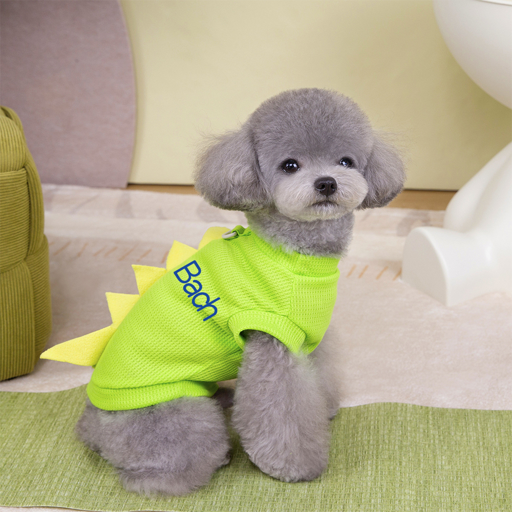 Personalized Pet Summer Lovely Dinosaur Shirt | BKPet179