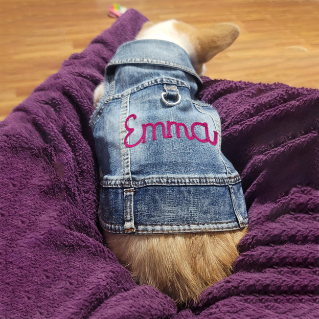 Personalized Hand Embroidery Pets Denim Jacket | BKPet2601