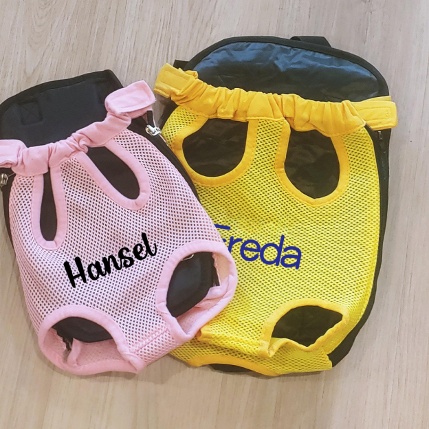 Personalized Dog Front Facing Mesh Pet Carrier | BKPet187