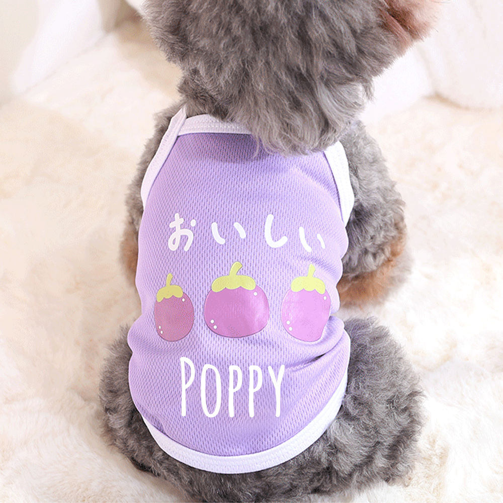 Personalized Cute Breathable Pet Summer Cool Mesh Vest | BKPet205
