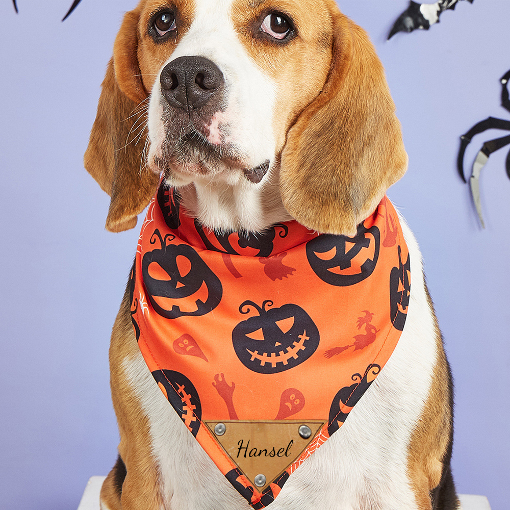 Personalized Halloween Dog Bandana for Comfort & Unique | CWHalloween57