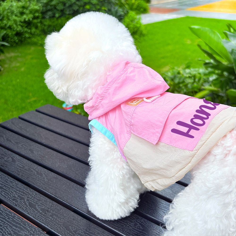 Personalized Cute Color Block Pet Summer Hoodie | BKPet207