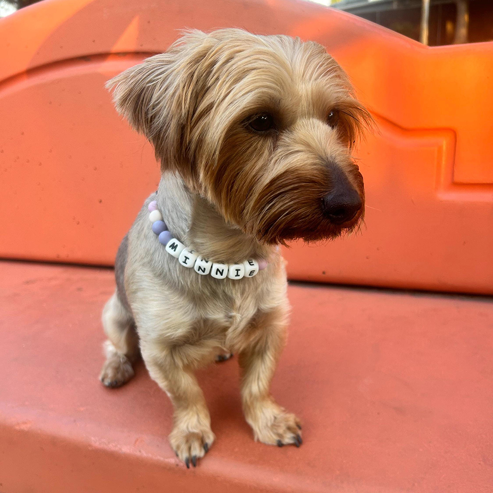 Personalized Handmade Beaded Adjustable Buckle Dog Collar | BKPet221