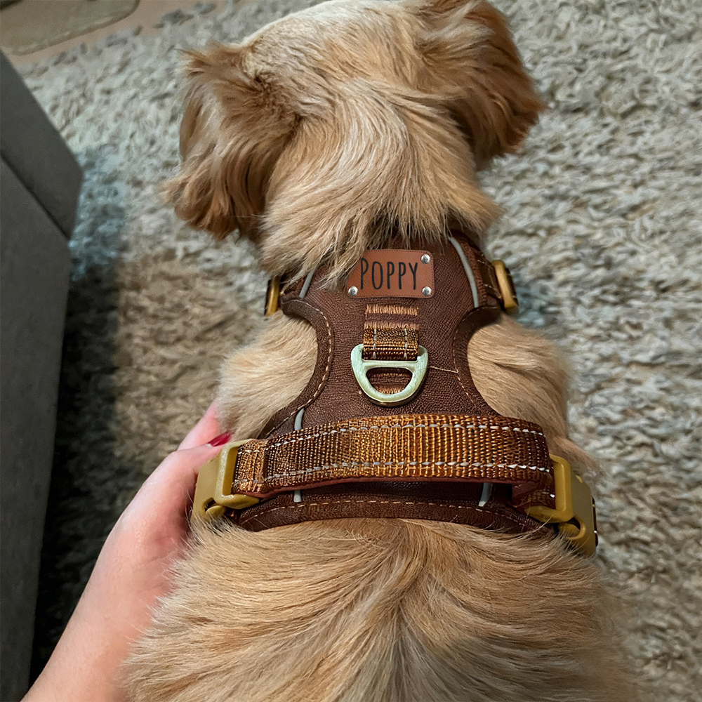 Personalized Night Reflective Luxury Puppy Harness | BKPet237