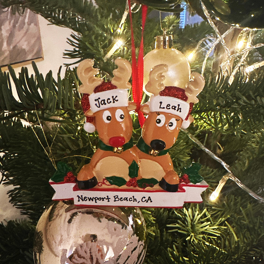 Personalised Elk Family Christmas Ornament | MCGift205