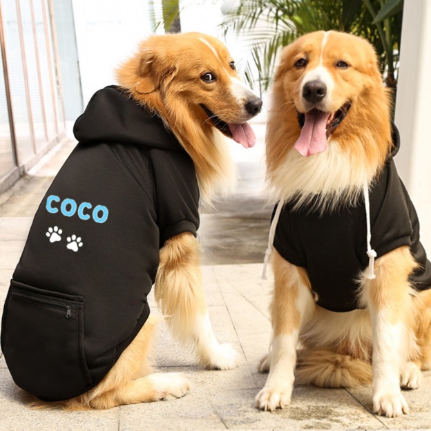 Personalized Warm Puppy Hoodie for Comfort & Unique | BKPet100