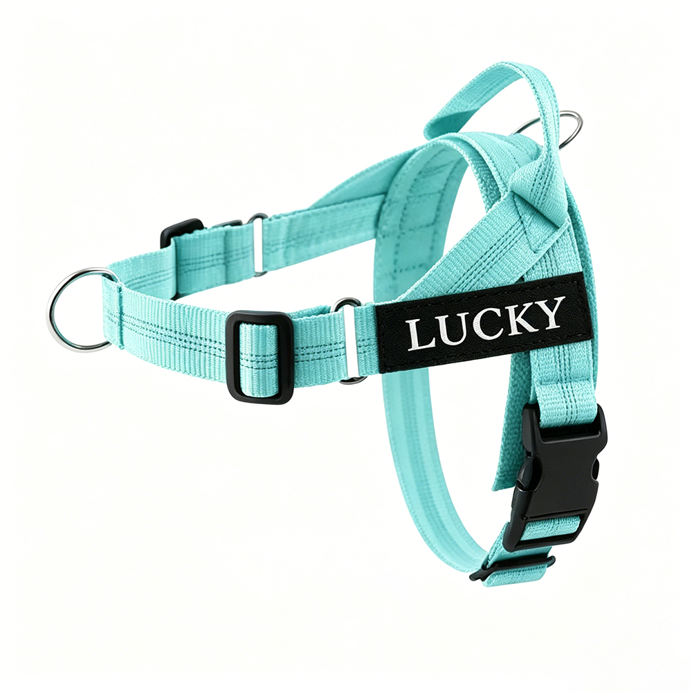 Personalized Embroidered Dog Harness & Leash Set | BKPet462