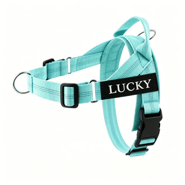 Personalized Embroidered Dog Harness & Leash Set | BKPet462