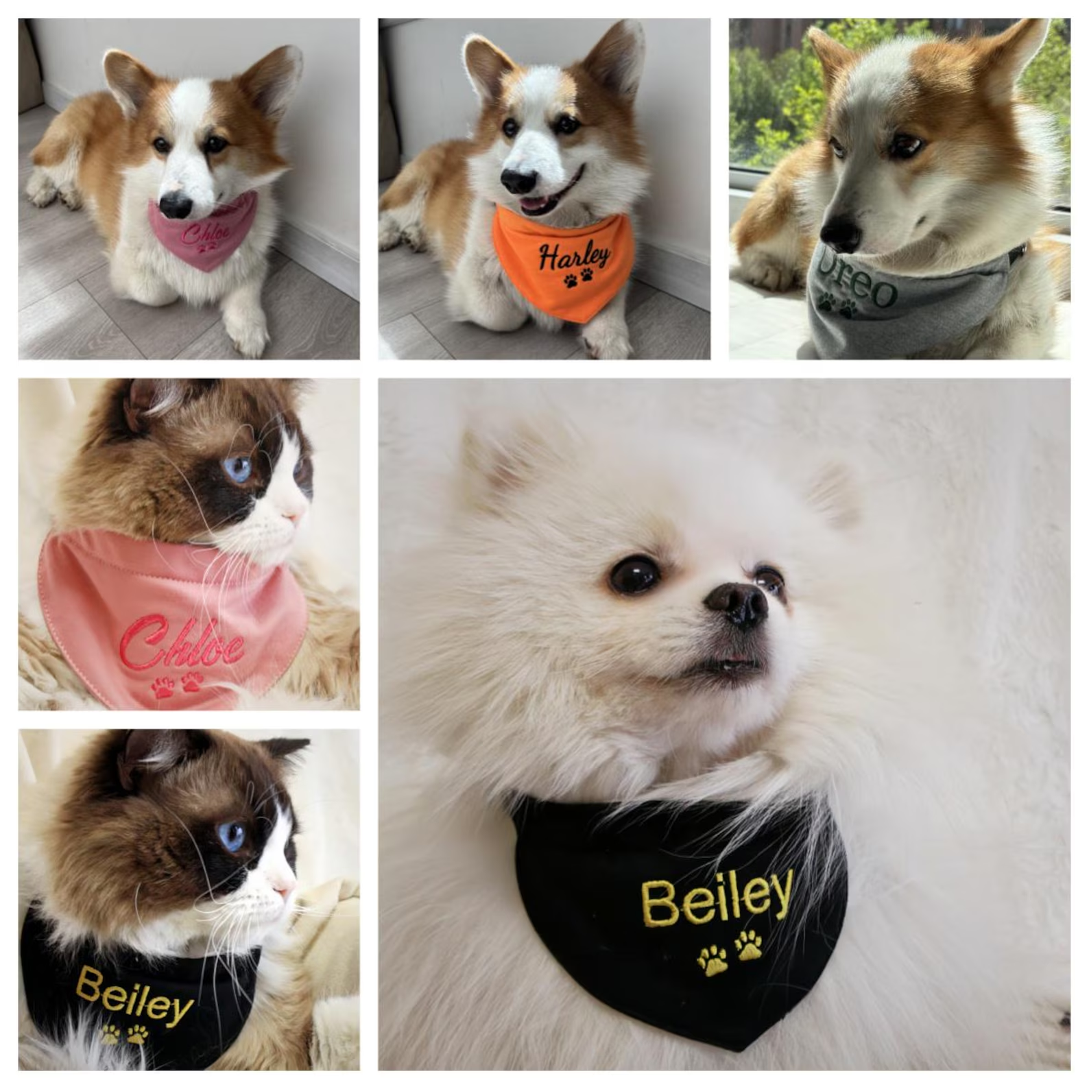 Personalized Embroidered Adjustable Dog Bandana | BKPet166
