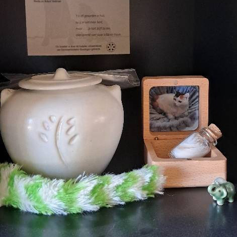 Personalized Wooden Pet Memorial Fur Keepsake Box | BKPet421