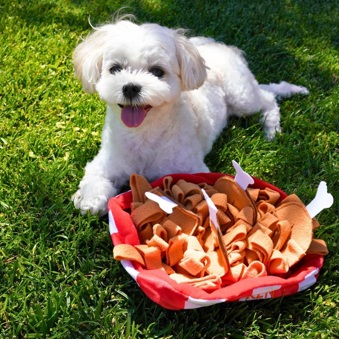 Creative Slow Feeder Chicken Pet Training Toy | BKPet431