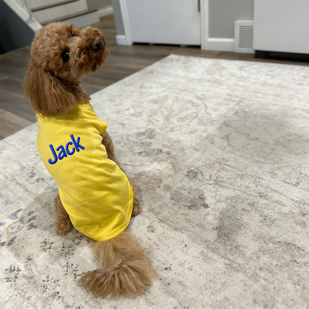 Personalized Embroidery Soft Large Size Pet Shirt | BKPet442