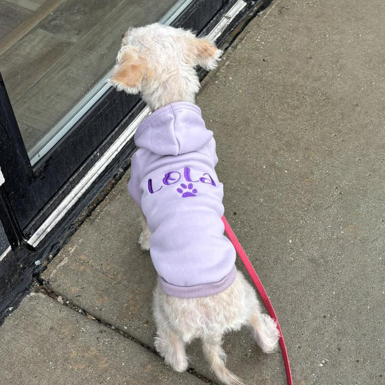 Personalized Embroidery Warm Soft Large Size Puppy Hoodie | BKPet362