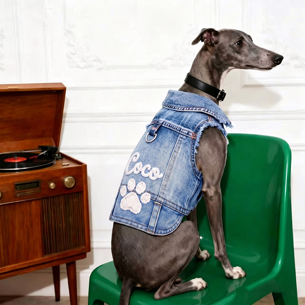 Personalized Hand Embroidered Pet Denim Jacket | BKPet542