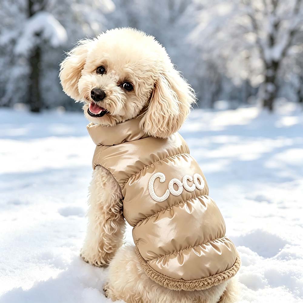 Personalized Pets Winter Warm Windproof Jacket | BKPet572