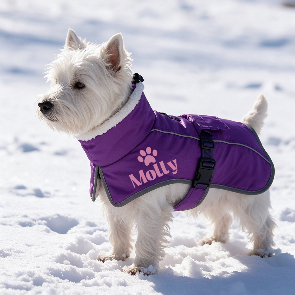 Personalized Winter Warm & Waterproof Cotton Coat For Pets | BKPet595
