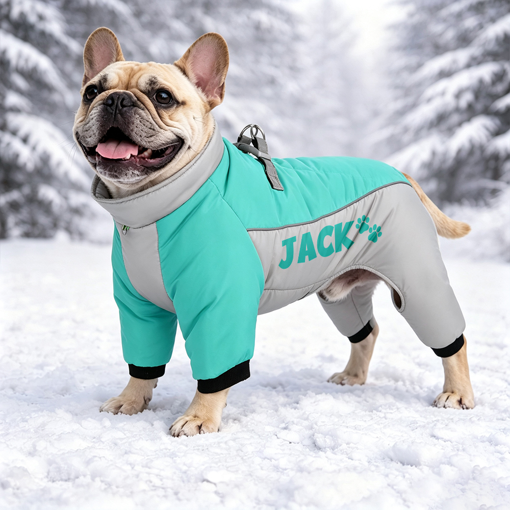 Personalized Winter Color-Blocked Cotton Coats For Pets | BKPet599