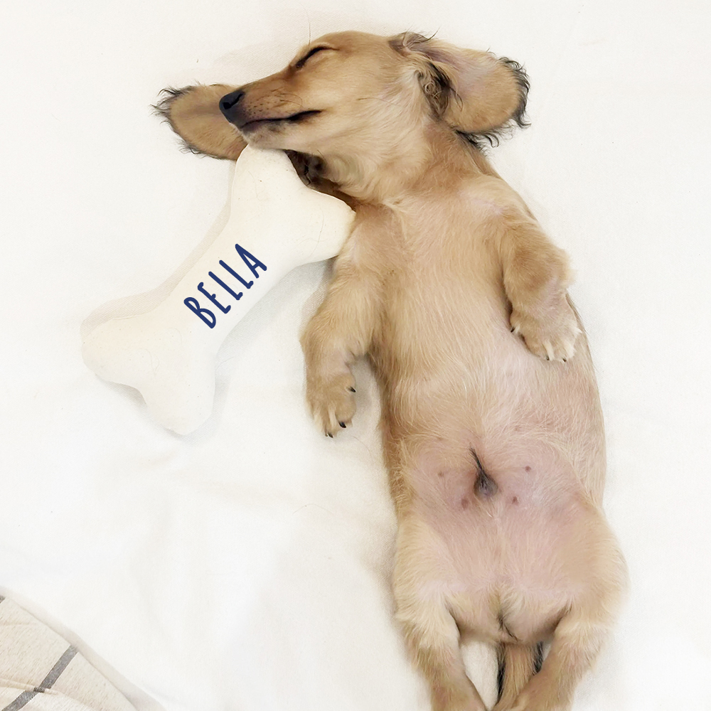 Personalized Puppy Gift Soft Bone Pillow Toy | BKPet129