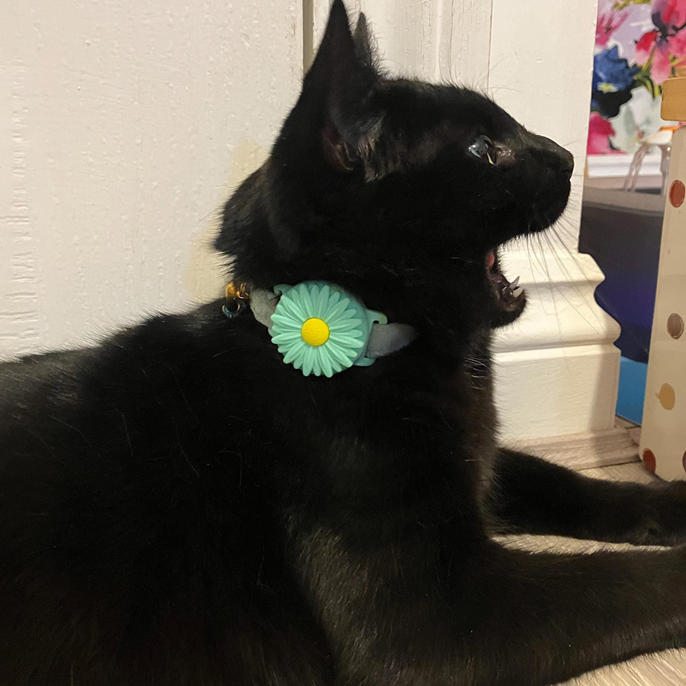 Personalized Pet Apple Air Tag Holder for Dog Collar | BKPet165