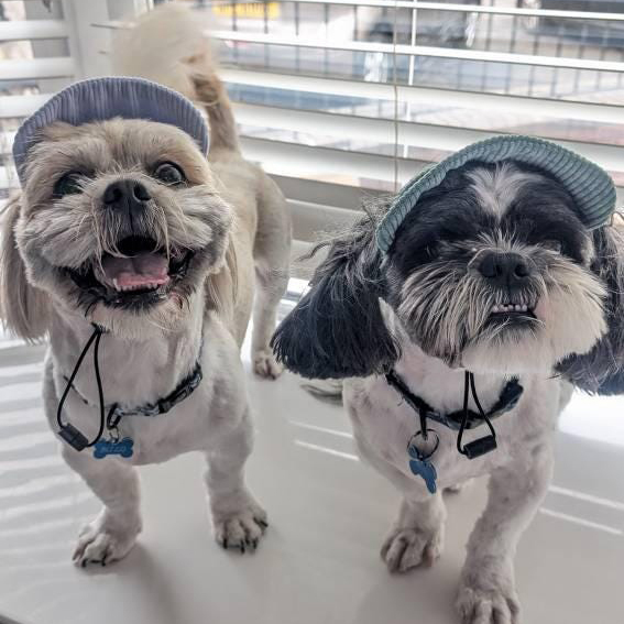 Personalized Corduroy Adjustable Pet Pet Baseball Cap | BKPet184