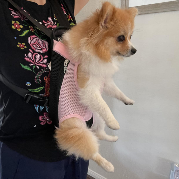 Personalized Dog Front Facing Mesh Pet Carrier | BKPet187