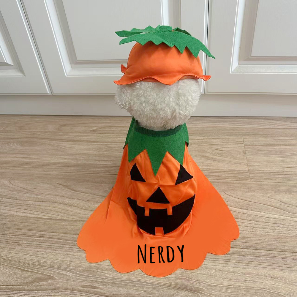 Personalized Halloween Funny Pumpkin Pet Costume | CWHalloween65