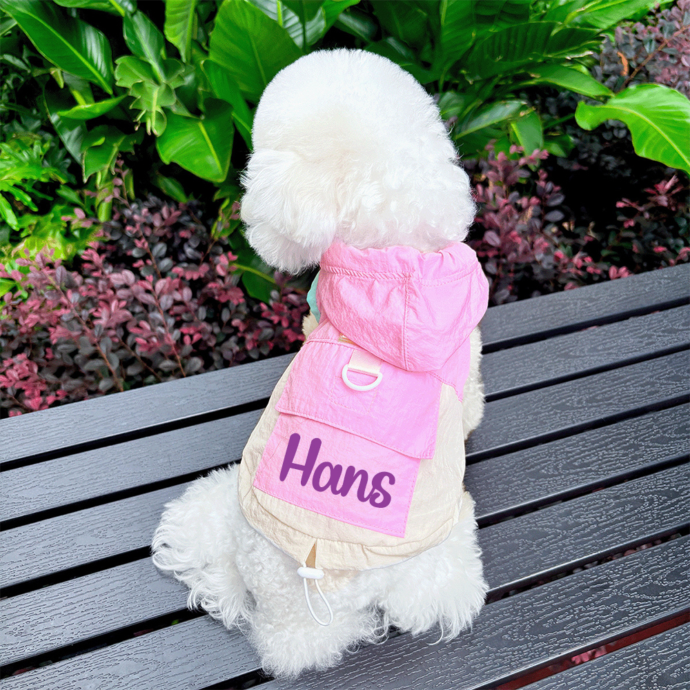 Personalized Cute Color Block Pet Summer Hoodie | BKPet207