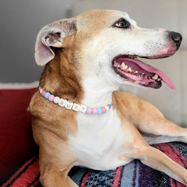 Personalized Handmade Beaded Adjustable Buckle Dog Collar | BKPet221