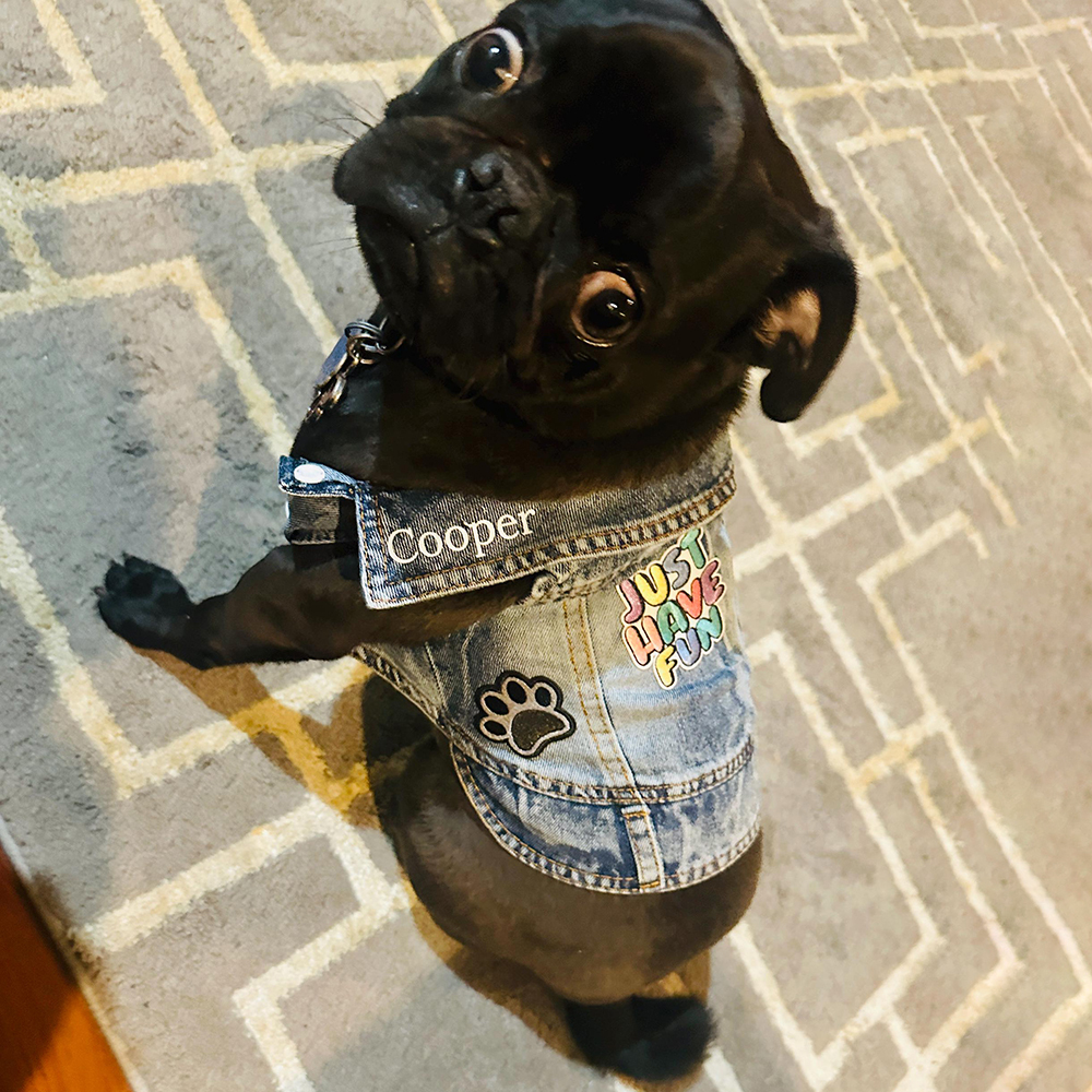 Personalized Hand Patch Pets Denim Jacket for Comfort and Unique | BKPet262