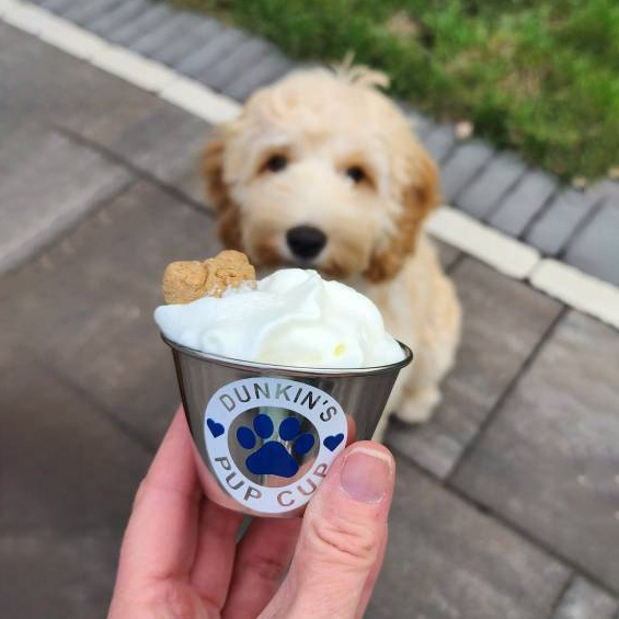Personalized Valentine’s Day Pet Gift Pup Cup Mug | BKPet285