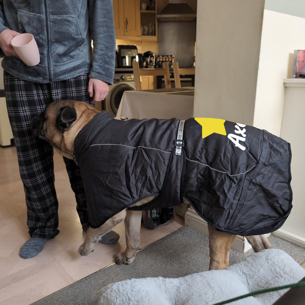 Personalized Pet Winter Warm Reflective Safety Puffer Vest | BKPet302