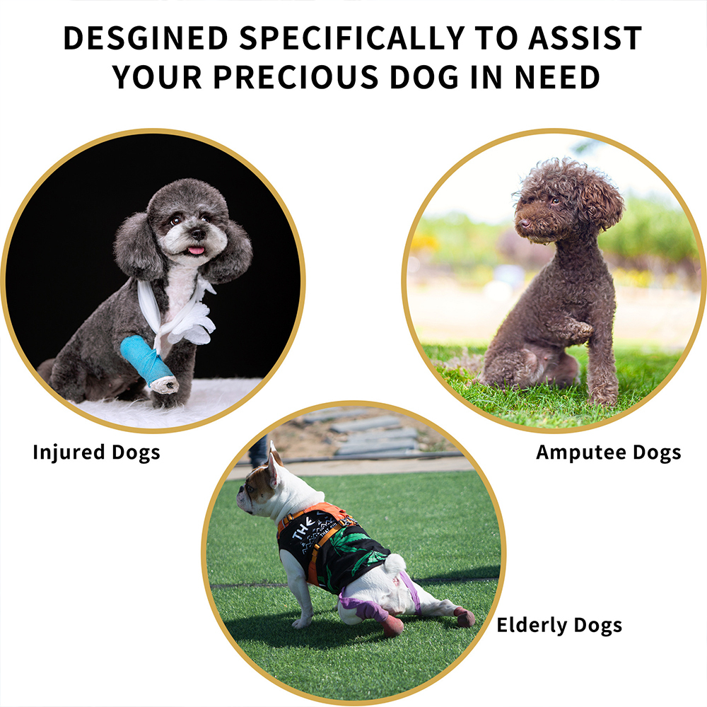 Personalized Adjustable Pet Lifting Harness Breathable Full Body Support | BKPet309