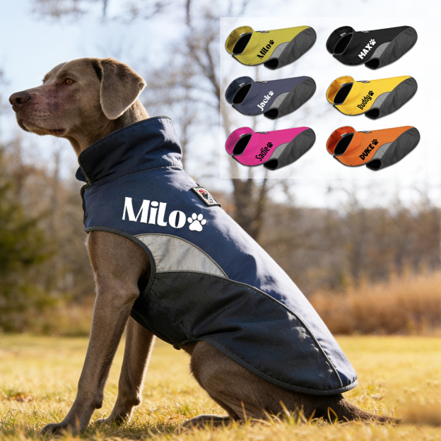Personalized Pet Outdoor Windproof Vest | BKPet347