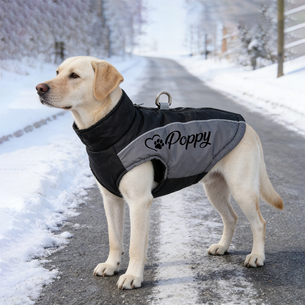 Personalized Pet Winter Warm Windproof Puffer Jacket | BKPet349