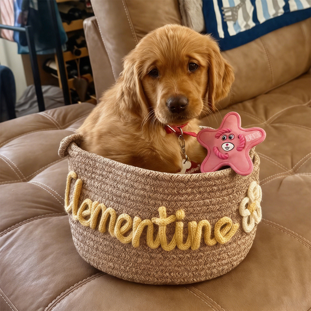 Personalized Star Flying Disc Squeaky Dog Toy | BKPet386