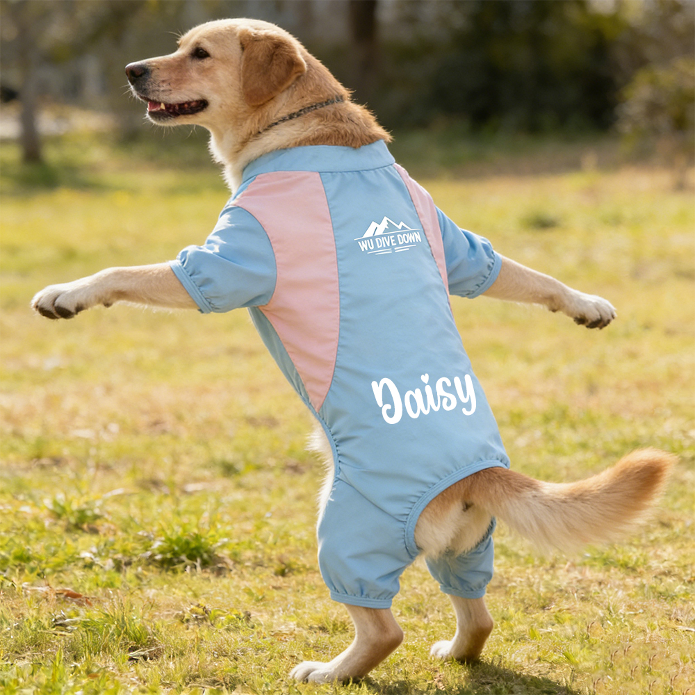 Personalized All-season Large Size  Puppy Shirt | BKPet413