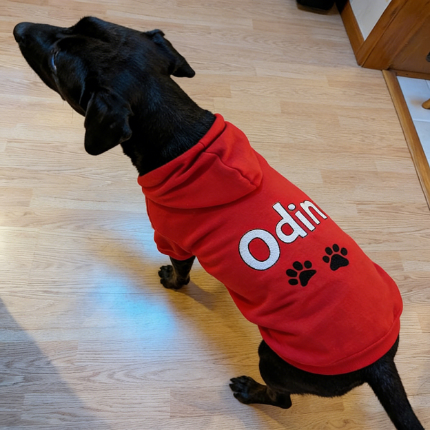 Personalized Embroidered Pet Comfortable Soft Hoodie | BKPet419