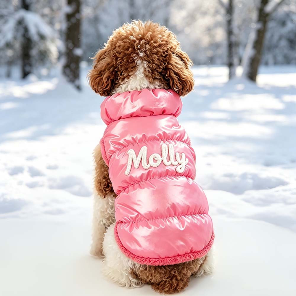Personalized Pets Winter Warm Windproof Jacket | BKPet572