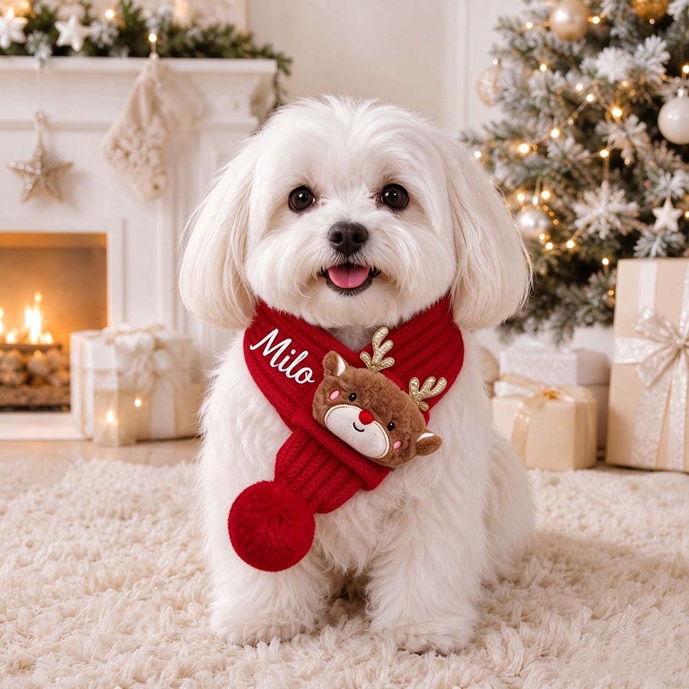 Personalized Embroidered Christmas Cute Knit Pet Scarf | MCGift436