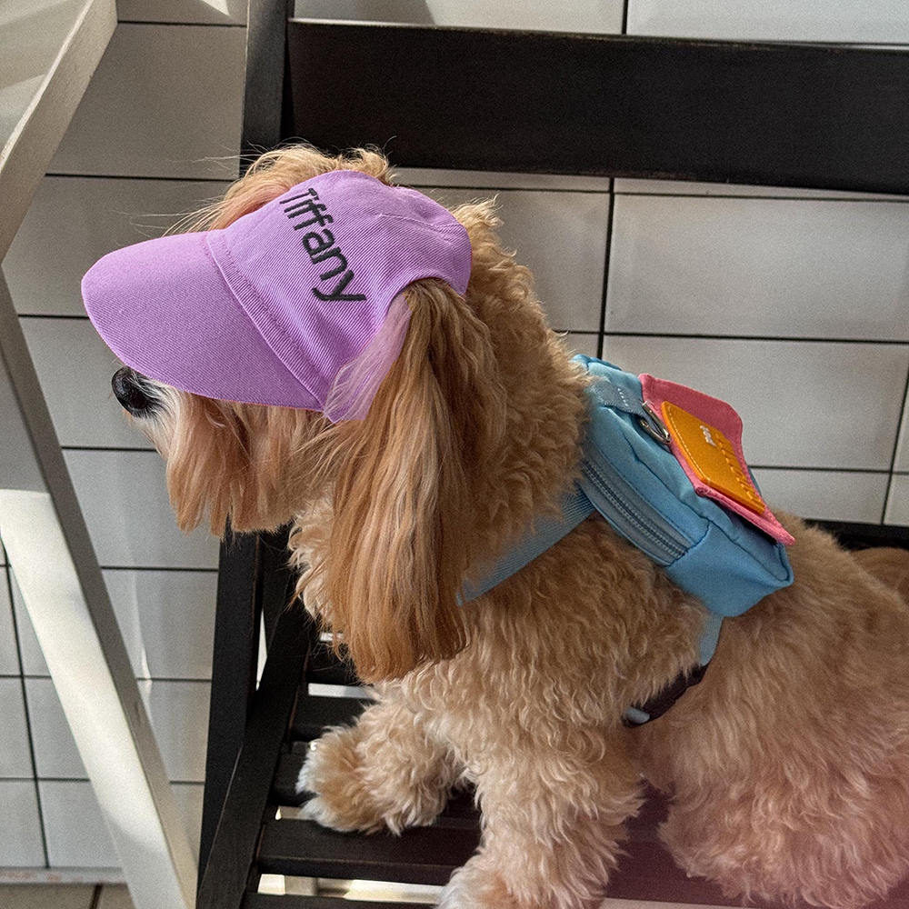 Personalized Embroidery Pet Adjustable Baseball Cap | BKPet182