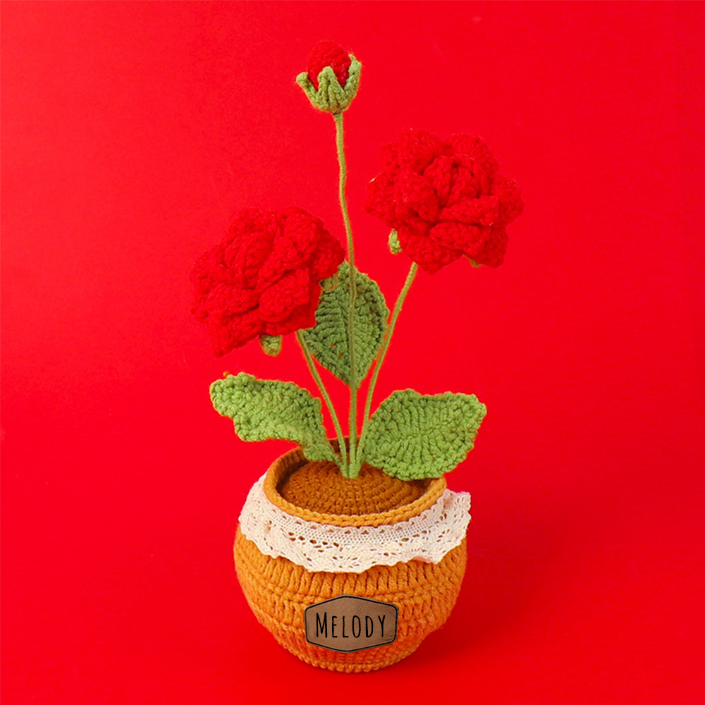 Personalized Crochet Flower in the Pot｜Gift For Mom  | CWMom17