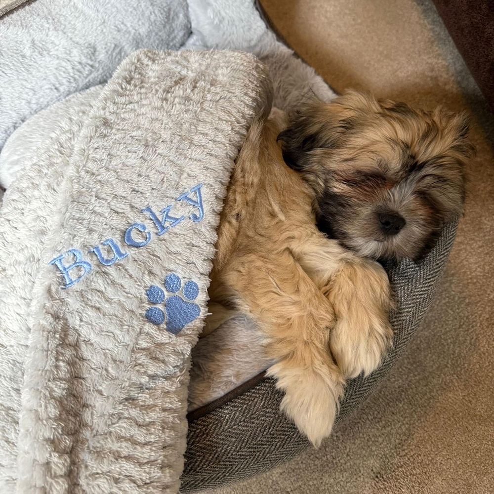Personalized Embroidered Pet Soft Waffle Blanket | BKPet197
