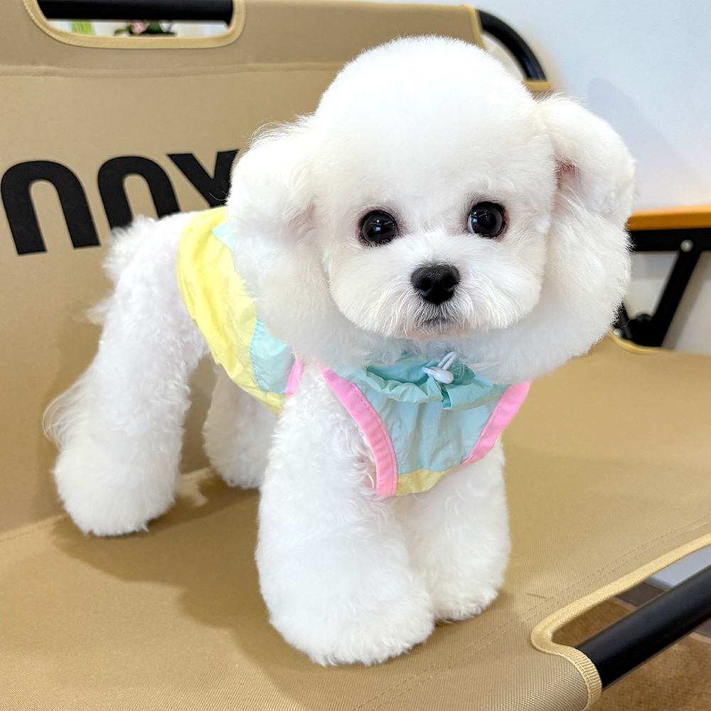 Personalized Cute Color Block Pet Summer Hoodie | BKPet207