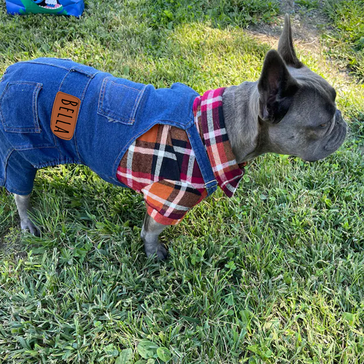 Personalized Leather Patch Pets Classic Overall Dungarees | BKPet56