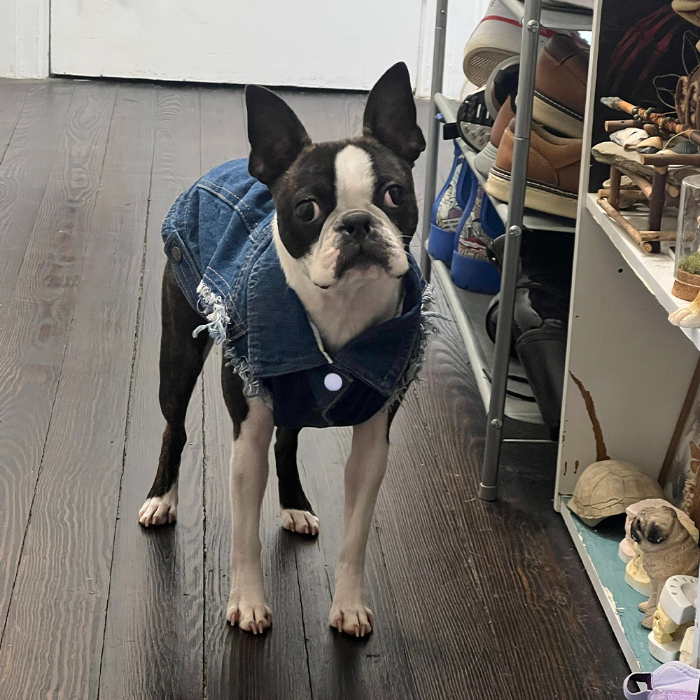 Personalized Handmade Pearl Patch Pets Denim Jacket | BKPet219