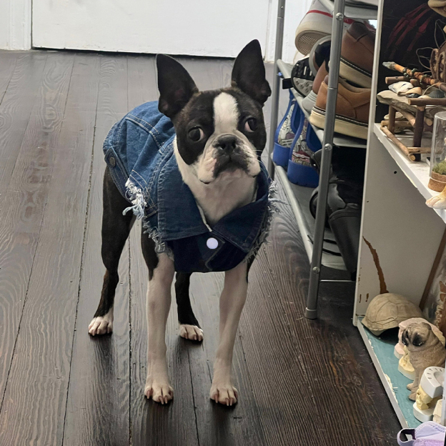 Personalized Handmade Pearl Patch Pets Denim Jacket | BKPet219