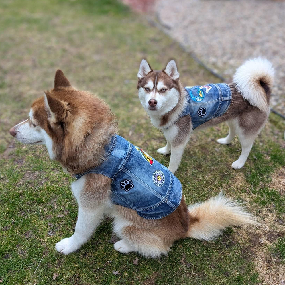 Personalized Hand Patch Pets Denim Jacket for Comfort and Unique | BKPet262